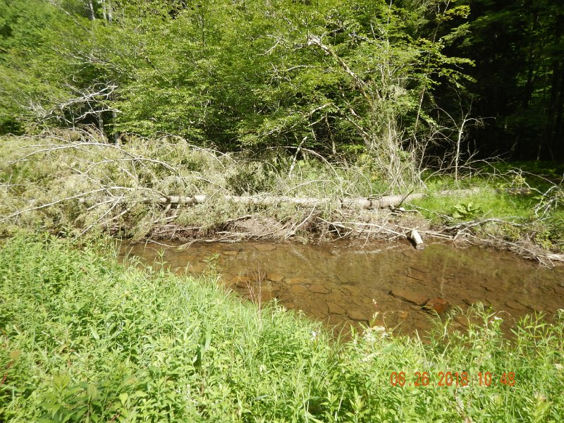 -Kettle Valley-129-.jpg - Here's another.  Spoke with a DCNR rep and he says this is illegal.  Wonder what the Fish Commission will say?